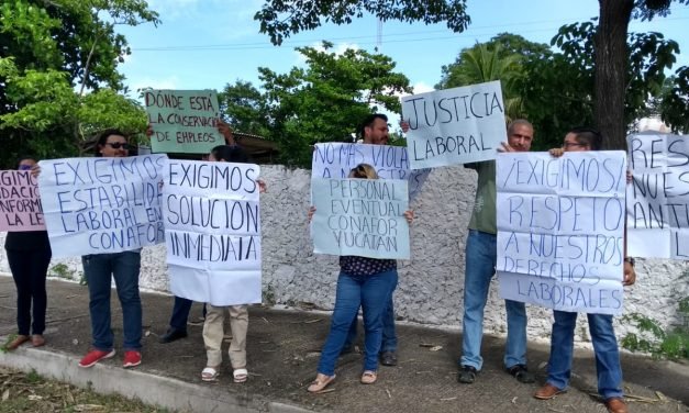 Primeros despidos en Conafor Yucatán desatan protesta (Video)