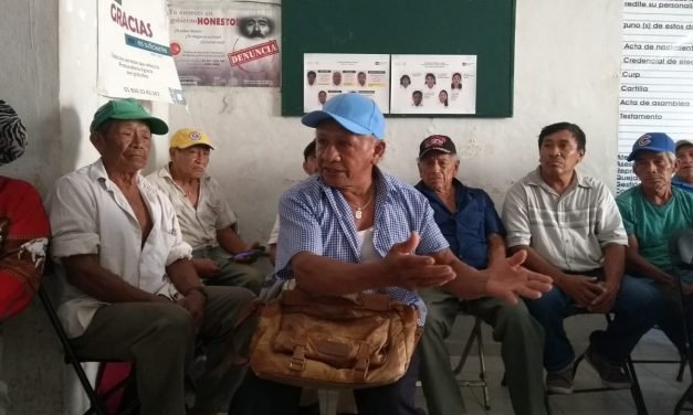 Desempleo e informalidad predominan entre adultos mayores