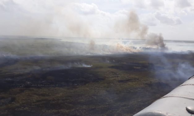 A Tiro de Piedra – Sian Ka’an, el problema se dejó crecer