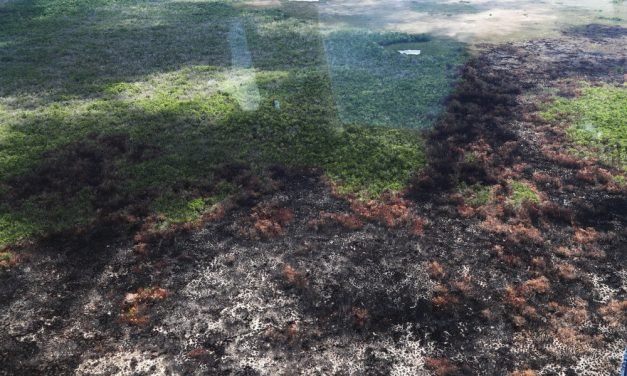 Cumple dos semanas incendio en Sian Ka’an, Quintana Roo