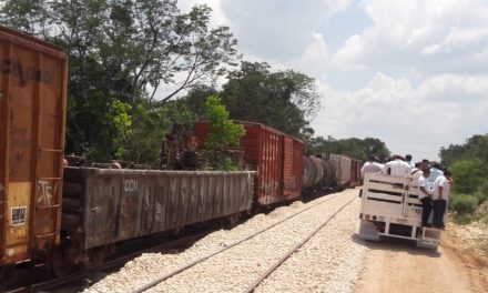 Interesa a más de 60 grupos privados, incluidos chinos, invertir en Tren Maya