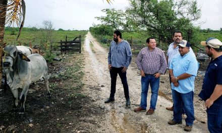 Reparto de ganado en “crédito a la palabra”, a principios de agosto