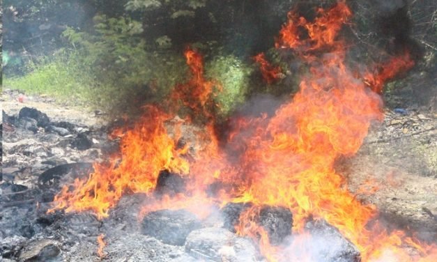 Incinerada en Mérida más de media tonelada de marihuana y otros estupefacientes