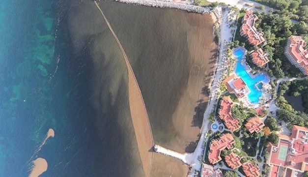 Oleada de sargazo alcanza más playas del Caribe Mexicano