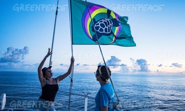 Unen talentos Manolo Caro y Pedro Alonso para apoyar campaña de Greenpeace