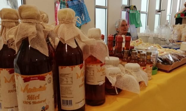 Día Nacional de las Abejas, recordatorio y riesgo de colapso (Video)