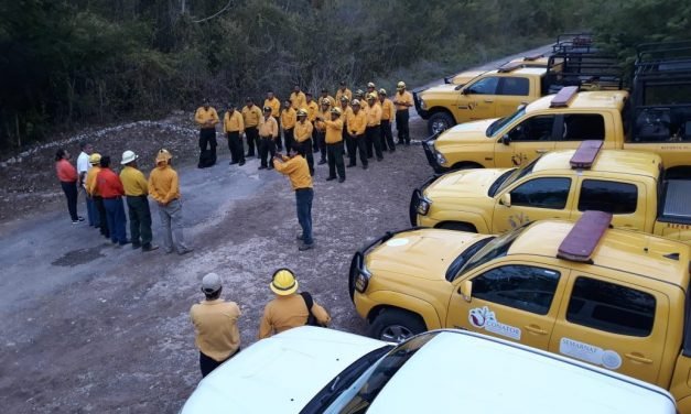 Incendio en Sian Ka’an, ya apagado, consumió tres mil 100 hectáreas