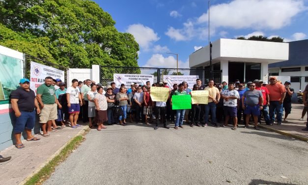 Pescadores yucatecos y comercializadores comienzan a presionar (Video)