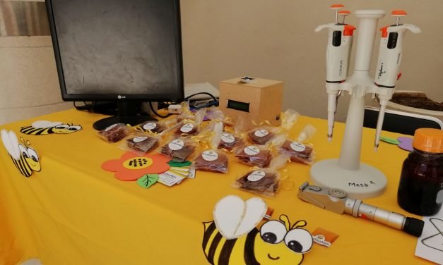 Adulteración de mieles: La práctica y su combate (Video)