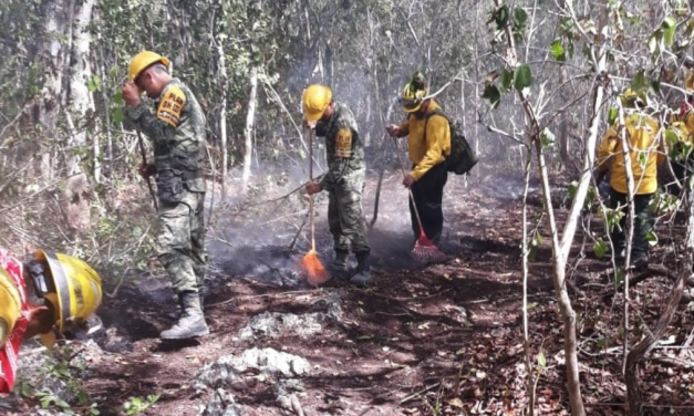 Segundo incendio en Reserva de la Biosfera Sian Ka’an sigue avanzando