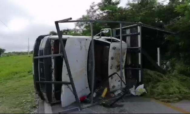 Vuelca con alimento para ganado y bloquea carretera (Video)