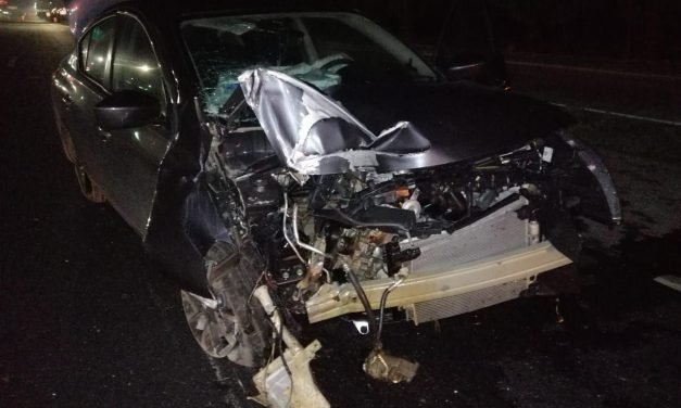 Dormita, derriba poste y acaba en el hospital