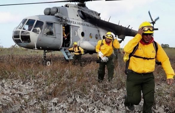 Dañó mil 600 hectáreas incendio “Uaimil” en Sian Ka’an