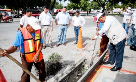 Supervisan trabajos de fumigación, desazolve de pozos, bacheo y limpieza de calles en Mérida