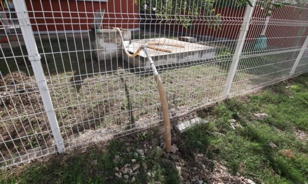 Muertes por dengue tienen a Quintana Roo entre los más afectados