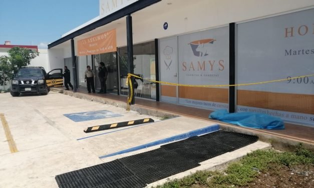 Ayuda a limpiar área verde de restaurante y muere (Video)
