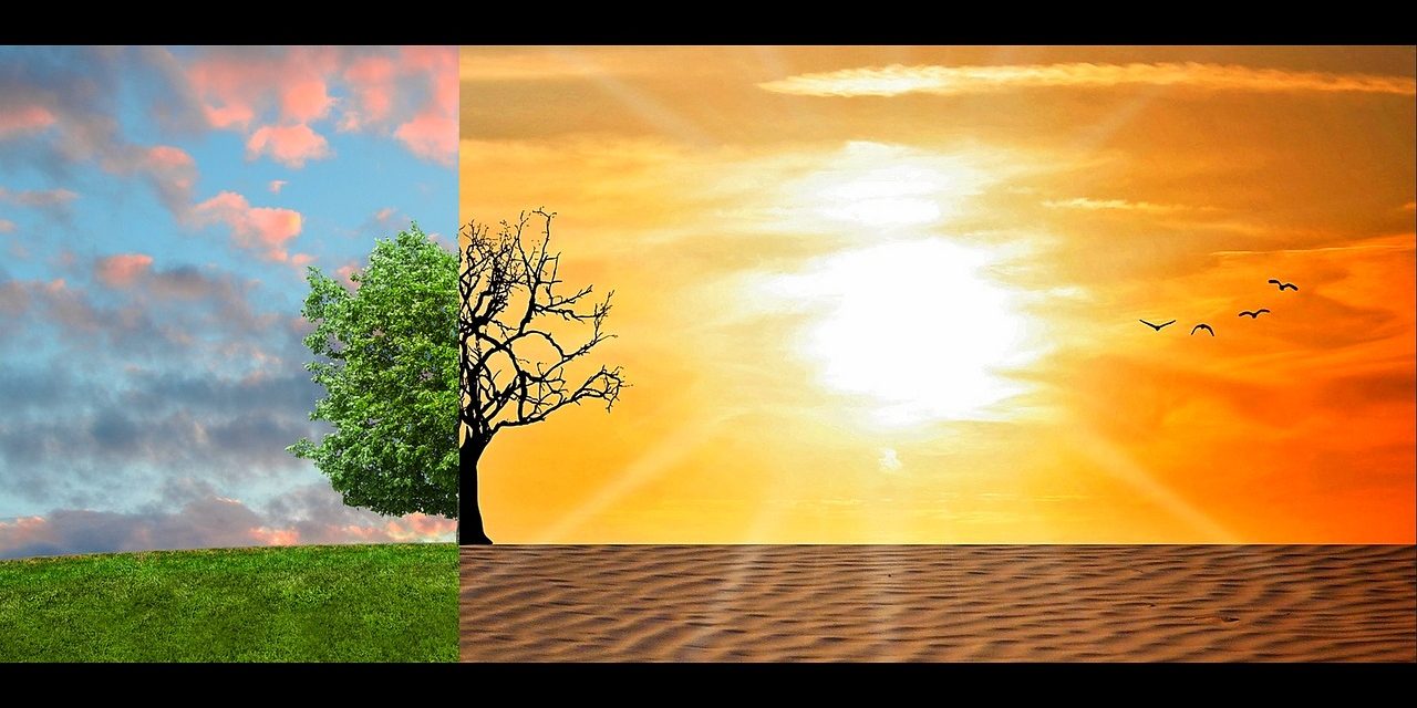 Aumento en temperaturas globales incide en problemas de salud mental