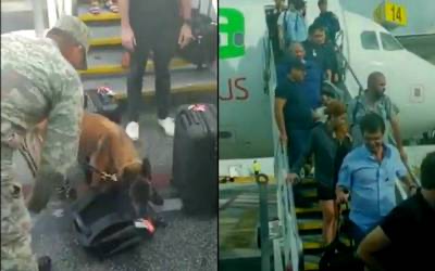 Falsa amenaza de bomba activa protocolos de seguridad en Aeropuerto de Cancún