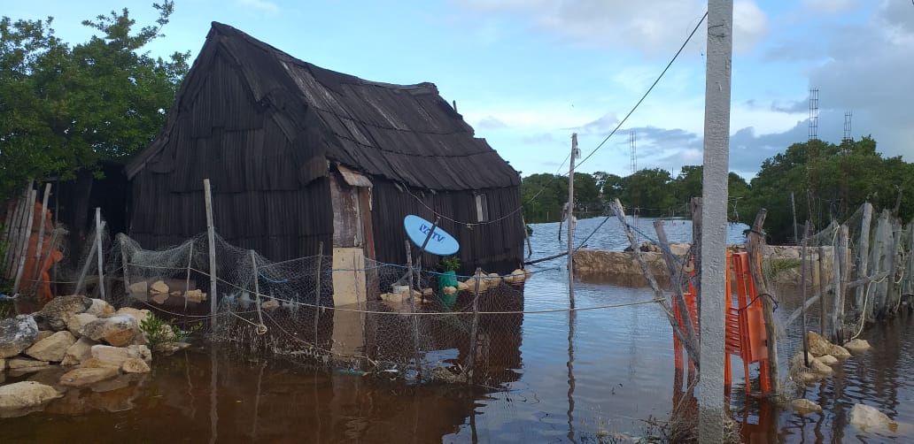 Progreso, Motul y Río Lagartos, los más afectados por lluvias