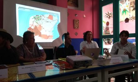 Colectivos indígenas y académicos definen “No” al Tren Maya (Video)