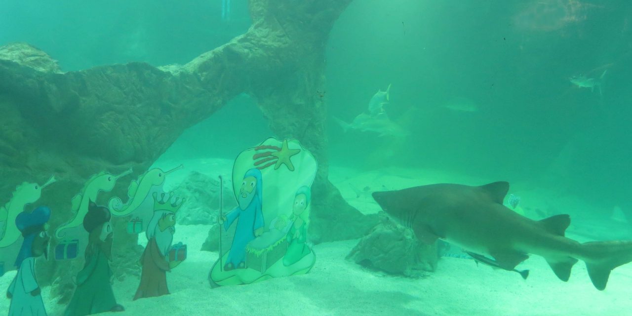 Nacimiento navideño con tiburones en acuario de Madrid