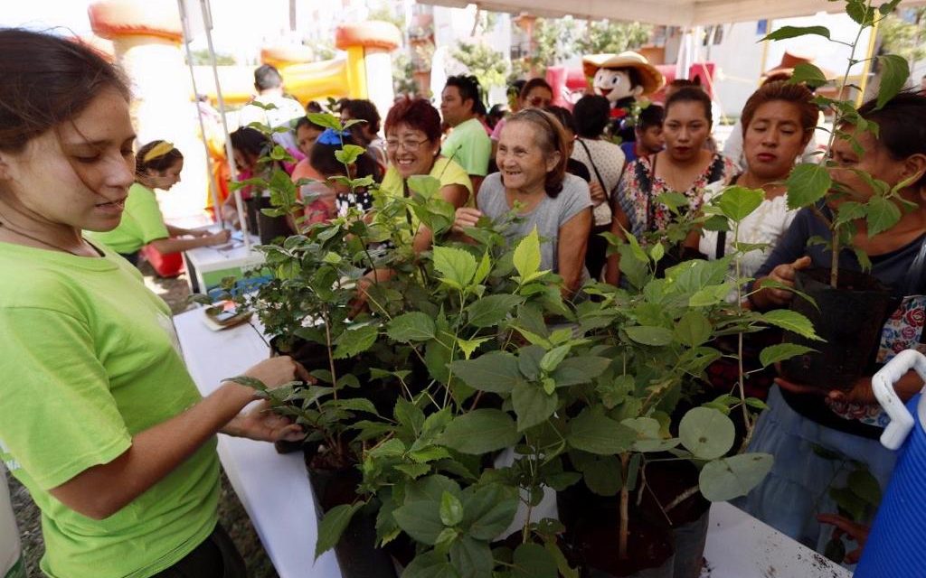 Tercer “Mega Punto Verde”, en fraccionamiento San Marcos Sustentable