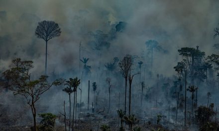 Contribuirán yucatecos a restauración simbólica en Amazonas