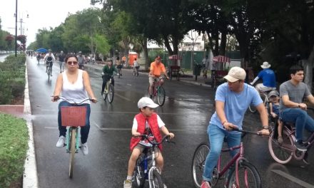 Domingo húmedo, por lloviznas, en Mérida (Video)