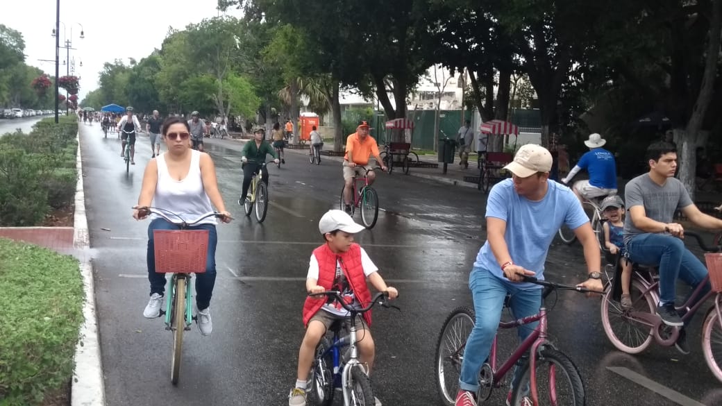 Domingo húmedo, por lloviznas, en Mérida (Video)