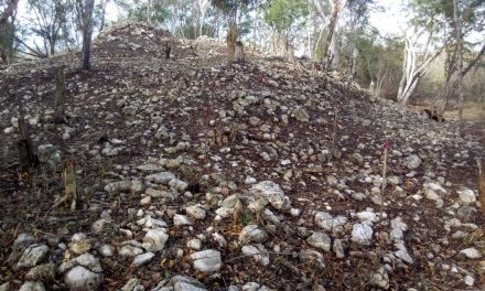 Desvelan detalles de vestigios mayas en ruta ferroviaria de Umán