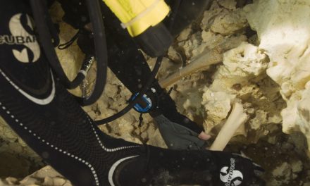 Cavernas sumergidas en Quintana Roo aportan al estudio de población de América