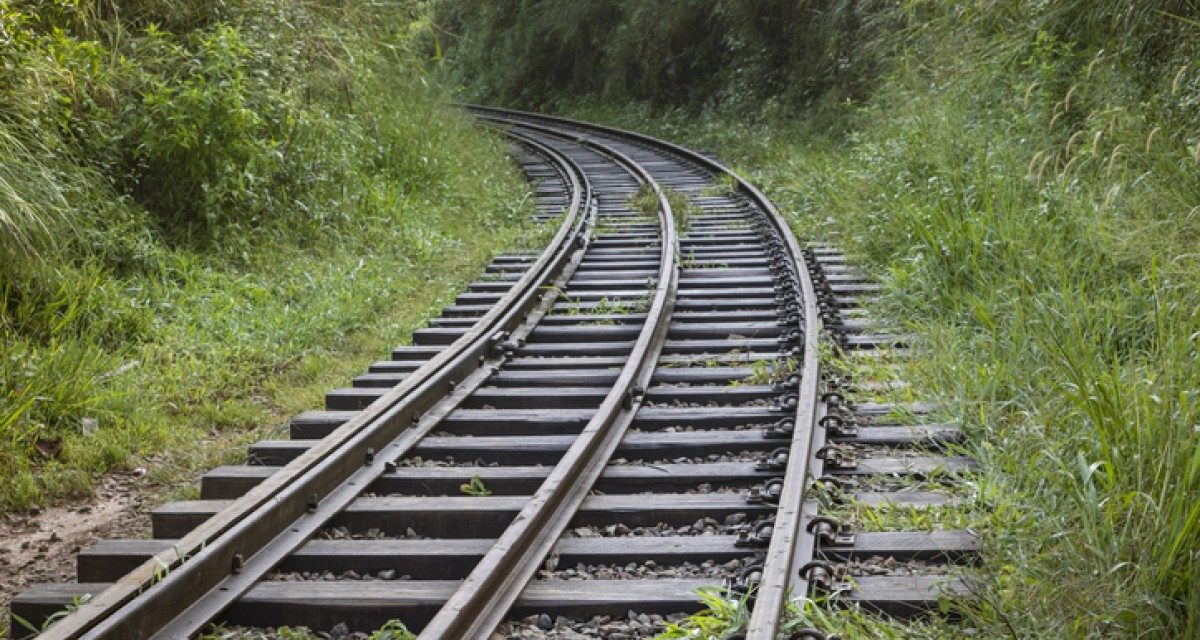 Tribunal Colegiado de Campeche dio luz verde a ruta del Tren Maya