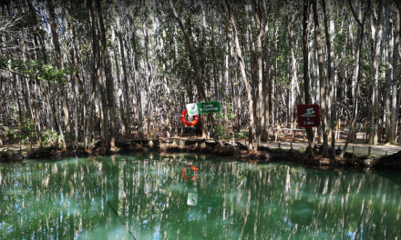 Cierran parador turístico “El Corchito”, en Progreso, hasta nuevo aviso