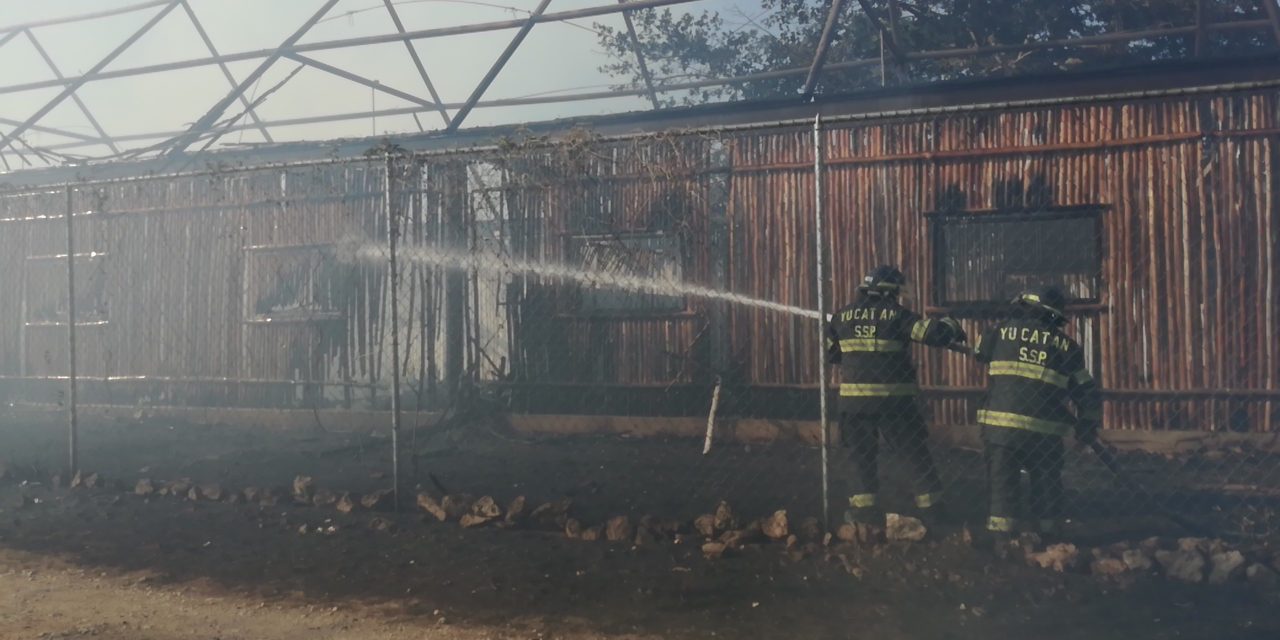 Destruye fuego palapas de parque de educación ambiental (Video)