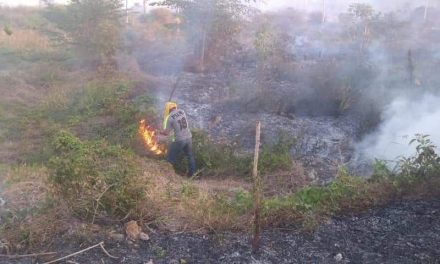 Otra emergencia en Quintana Roo: incendios forestales y sus daños
