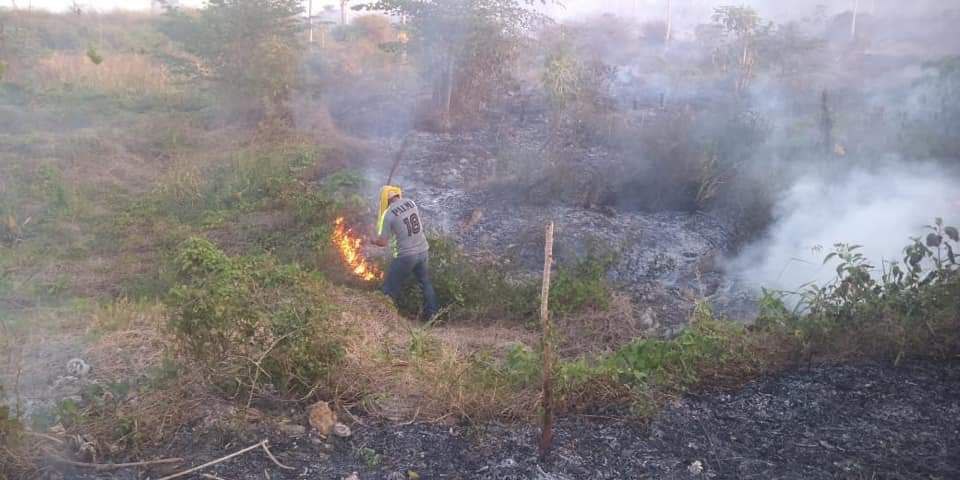 Otra emergencia en Quintana Roo: incendios forestales y sus daños