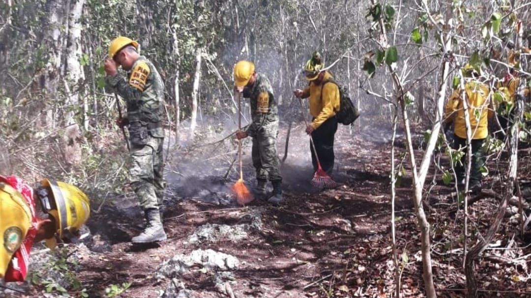 Inicia fuego en Chiquilá, se extiende a Reserva de Biósfera en Yucatán