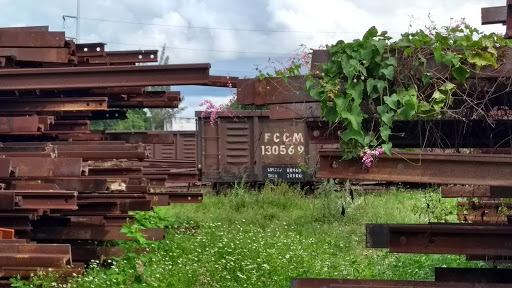 Paso de Tren Maya por Mérida ‘nada definido aún’