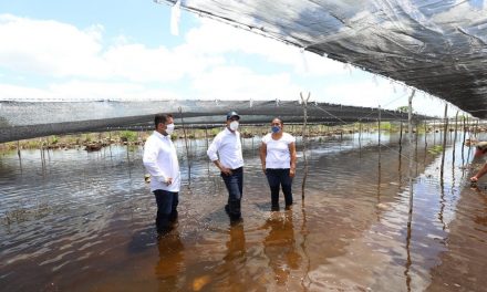 Lluvias y daños en Yucatán: más de cinco mil 400 millones de pesos