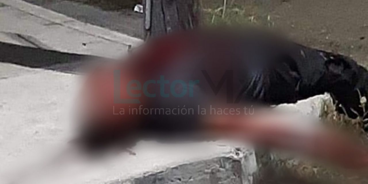 Asesinan a navajazos a policía municipal en puerto Progreso