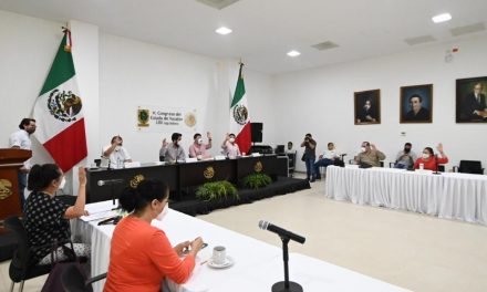 Será delito en Yucatán derribar dolosamente uno o más árboles urbanos