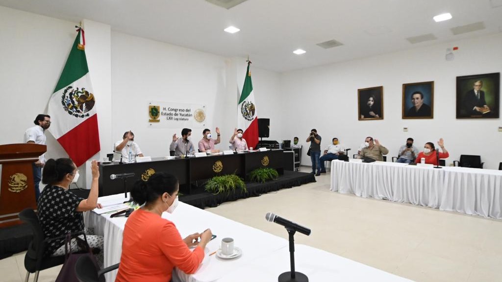 Será delito en Yucatán derribar dolosamente uno o más árboles urbanos