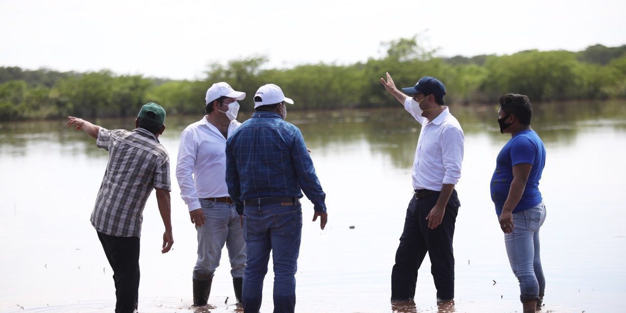 En pérdida total 85 por ciento de cultivos en Yucatán; emergen más daños