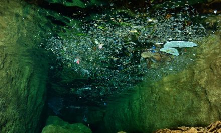 Advierten sobre plaga de plásticos en las profundidades marinas de Europa