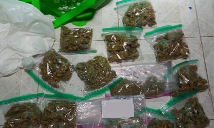 Despliegan fuerza: aseguran poco más 1 kilo de marihuana