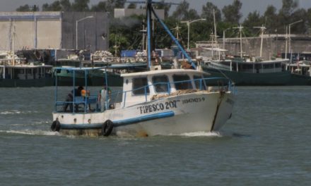 Retoman censo de embarcaciones en Progreso, tras matrículas clonadas
