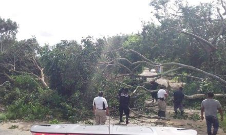 Riesgo de interacción entre las tormentas tropicales “Gamma” y “Delta”