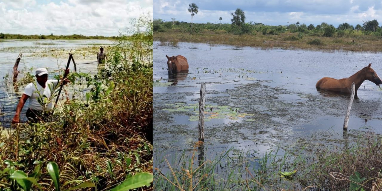 Levantan censo federal de campesinos afectados por recientes inundaciones