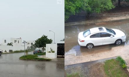 Más lluvias: dos ondas tropicales y baja presión con potencial ciclónico