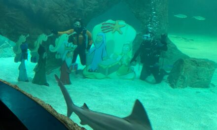 Celebran Navidad y Año Nuevo con nacimiento dentro de acuario con tiburones